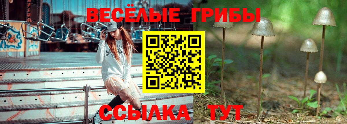 Псилоцибиновые грибы Cubensis Пушкино