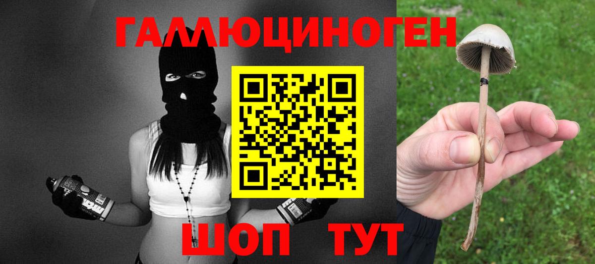 Псилоцибиновые грибы прущие грибы  Вход с VPN  Пушкино 